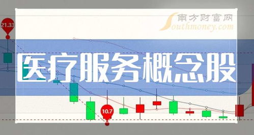 2024年第二季度醫(yī)療服務(wù)與票務(wù)代理服務(wù)概念股凈利率十強(qiáng)榜單出爐